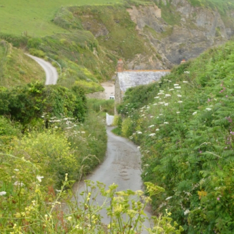 Cornish lane HP