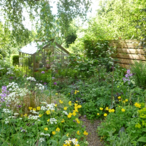 Peter Beardsley's Garden Path